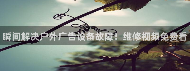 杏宇平台总代理电话