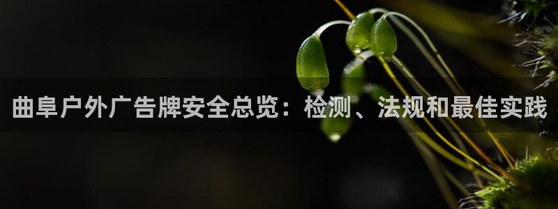 杏宇平台总代理电话