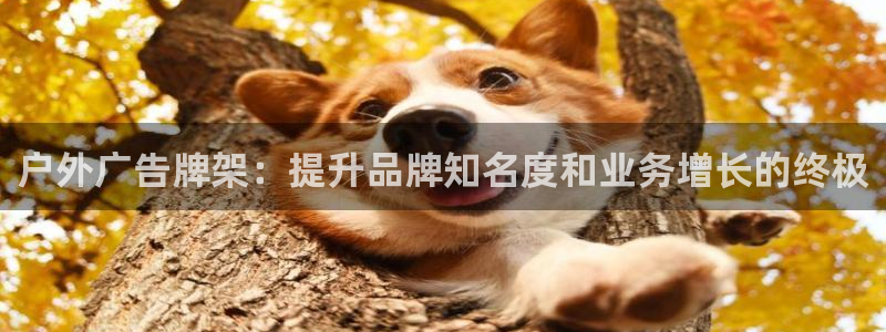 杏宇平台注册地址在哪里：户外广告牌架：提升品牌知名度和业务增长的终极