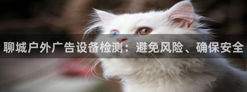 杏宇平台注册地址在哪里：聊城户外广告设备检测：避免风险、确保安全