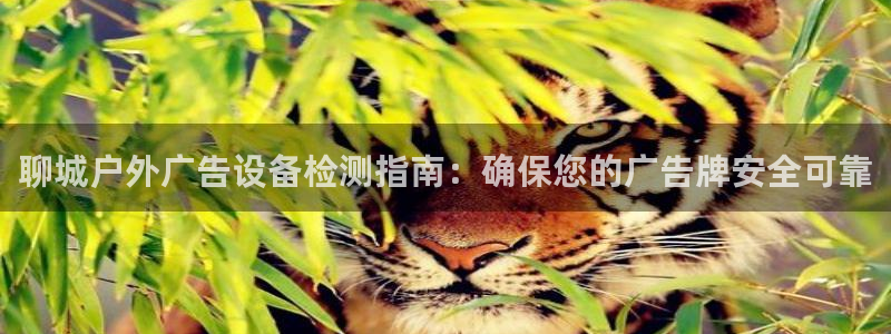 杏宇平台登陆：聊城户外广告设备检测指南：确保您的广告牌安全可靠
