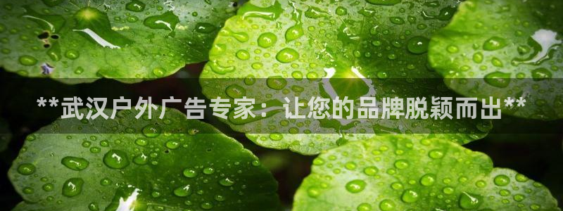 杏宇平台注册地址在哪里：**武汉户外广告专家：让您的品牌脱颖而出**