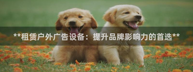 杏宇平台好吗：**租赁户外广告设备：提升品牌影响力的首选**