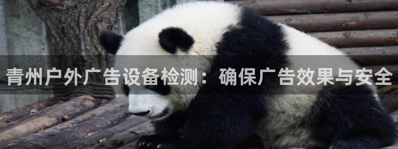 杏宇平台总代理是谁：青州户外广告设备检测：确保广告效果与安全