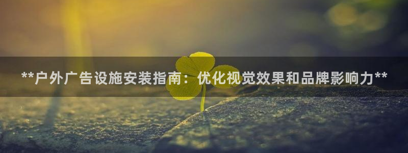 杏宇平台是什么：**户外广告设施安装指南：优化视觉效果和品牌影响力**