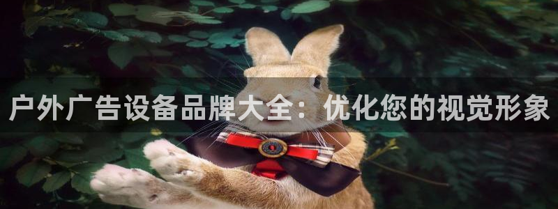 杏宇平台是什么