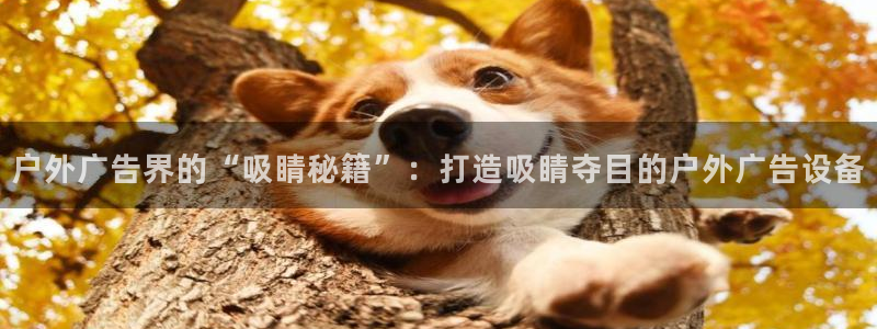 杏宇平台测速链接