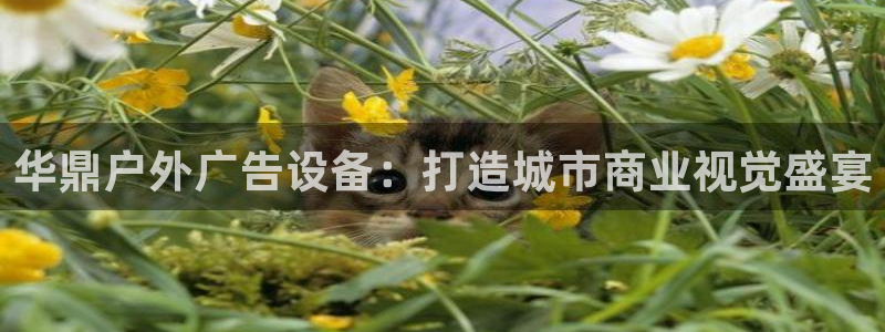 杏宇平台代理怎么样