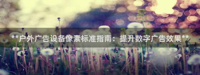 杏宇平台代理怎么样