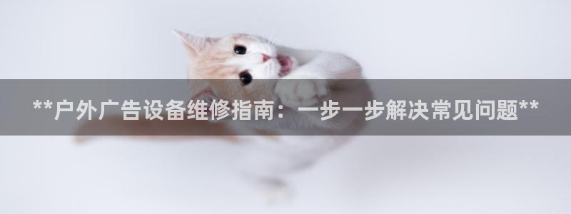 杏宇平台测速链接