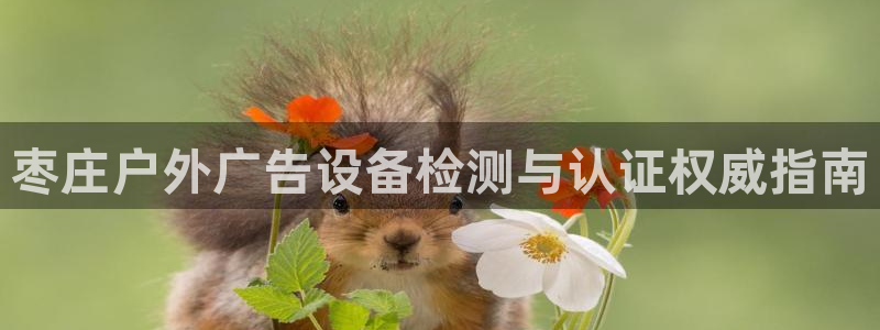 杏宇平台怎么样