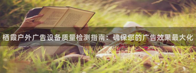杏宇平台注册登录