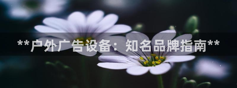 杏宇平台登录步骤
