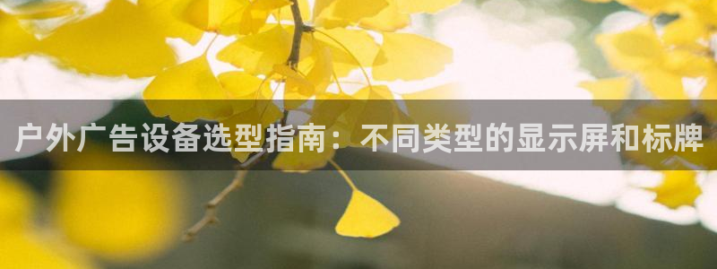 杏宇平台登录方法