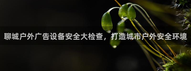 杏宇平台登陆