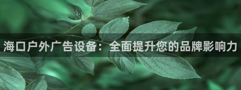 杏宇官方平台官网