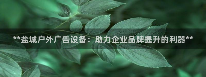 杏宇平台登陆