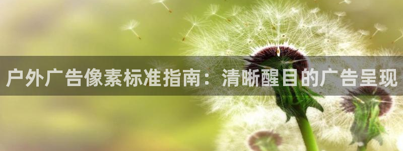 杏宇平台登录步骤是什么