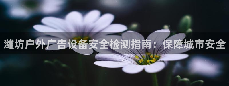 杏宇平台代理怎么样啊