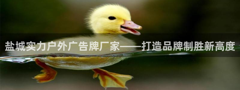 杏宇平台提现为什么这么久呢：盐城实力户外广告牌厂家——打造品牌制胜新高度