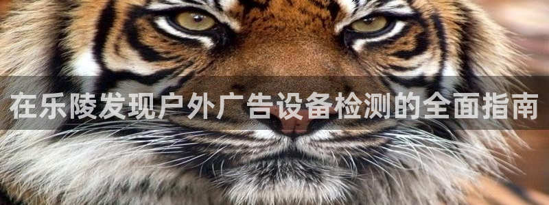 杏宇平台招商怎么样：在乐陵发现户外广告设备检测的全面指南