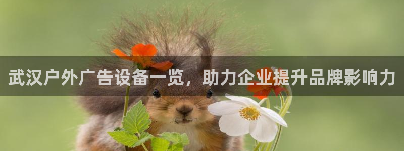 杏宇平台登录步骤