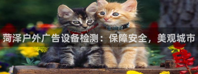 杏宇平台注册登录