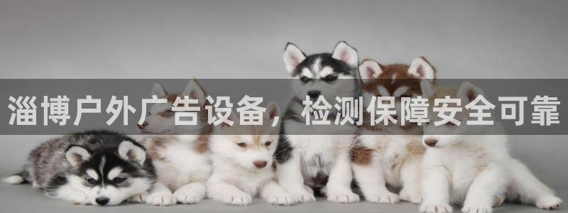 杏宇平台代理