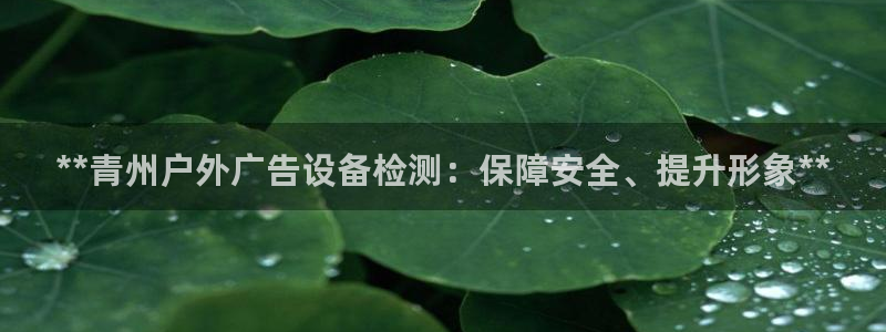 杏宇平台是什么：**青州户外广告设备检测：保障安全、提升形象**