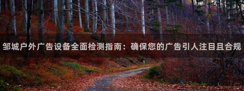 杏宇平台代理多少钱：邹城户外广告设备全面检测指南：确保您的广告引人注目且合规