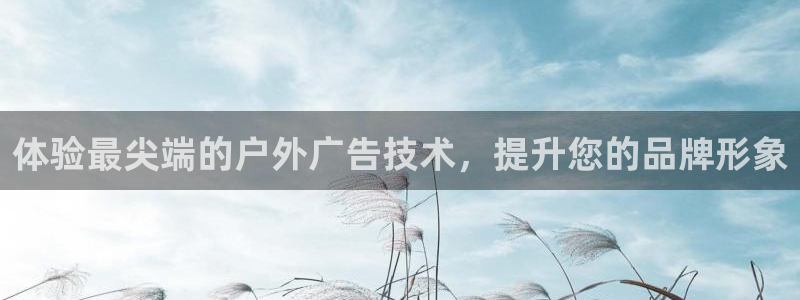 杏宇平台总代理电话：体验最尖端的户外广告技术，提升您的品牌形象