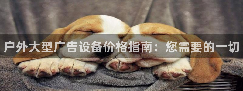 杏宇平台代理多少钱一个月