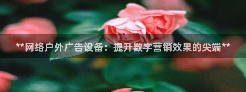 杏宇平台注册地址在哪里：**网络户外广告设备：提升数字营销效果的尖端**