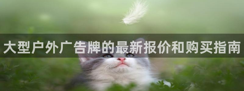 杏宇平台代理怎么样赚钱