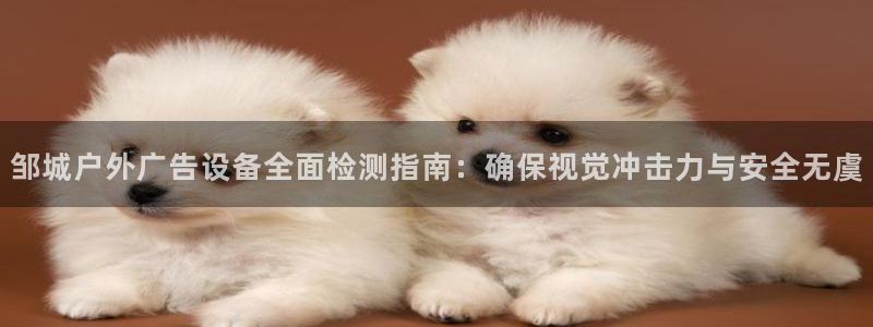 杏宇平台代理怎么赚钱的：邹城户外广告设备全面检测指南：确保视觉冲击力与安全无虞