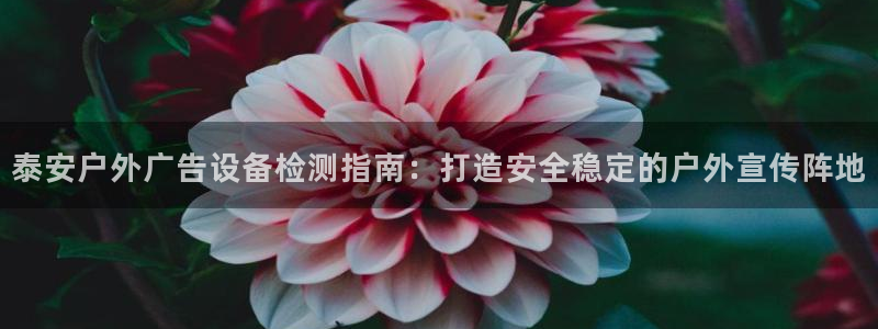杏宇平台总代理是谁