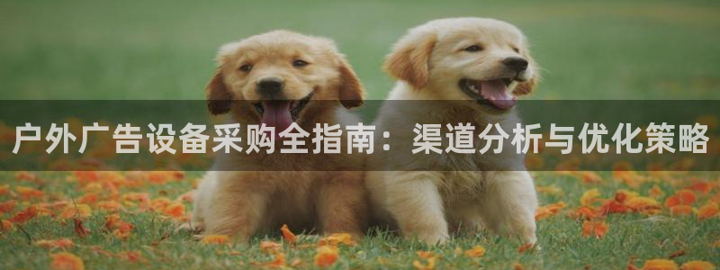 杏宇平台开户：户外广告设备采购全指南：渠道分析与优化策略