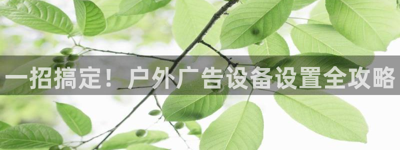 杏宇平台代理怎么赚钱快
