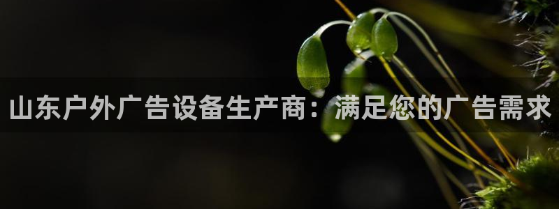 杏宇平台主管