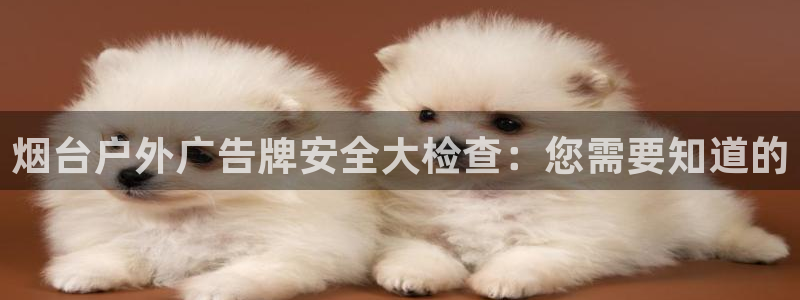 杏宇平台怎么样