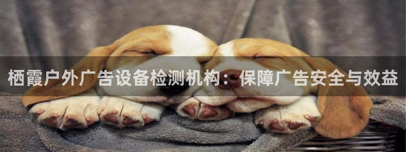 杏宇平台代理怎么样啊：栖霞户外广告设备检测机构：保障广告安全与效益