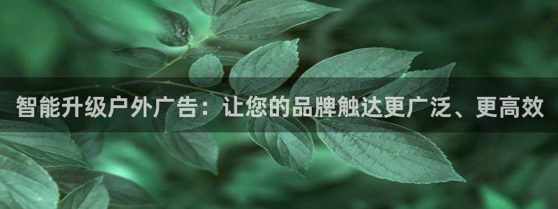 杏宇平台测速链接：智能升级户外广告：让您的品牌触达更广泛、更高效
