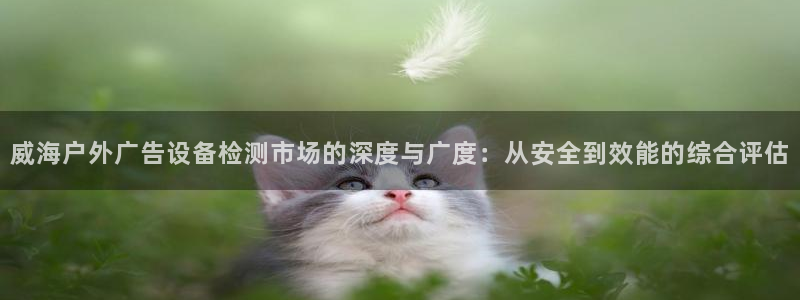 杏宇平台好吗：威海户外广告设备检测市场的深度与广度：从安全到效能的综合评估