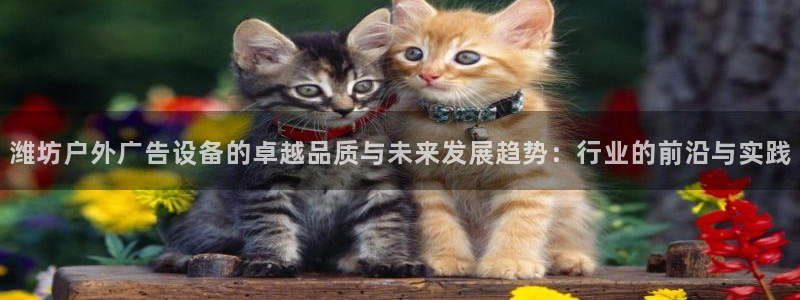 杏宇平台招商电话号码