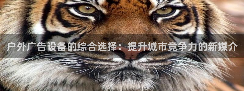 杏宇平台代理多少钱一个月：户外广告设备的