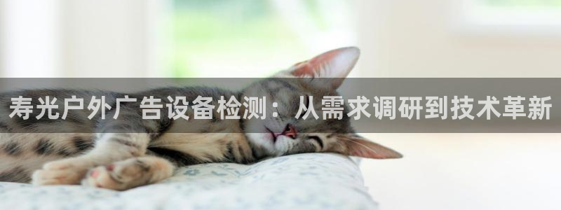 杏宇平台招商：寿光户外广告设备检测：从需