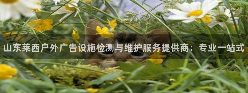 杏宇官方平台官网：山东莱西户外广告设施检