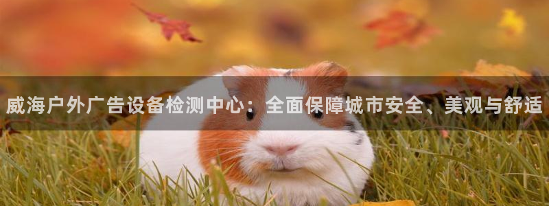 杏宇官方平台官网下载
