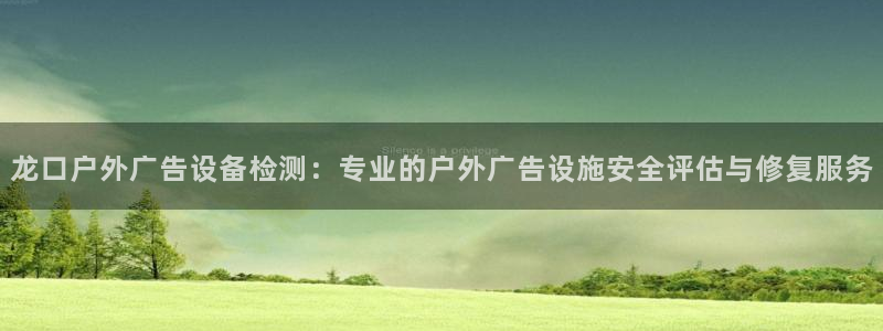 杏宇平台主管：龙口户外广告设备检测：专业