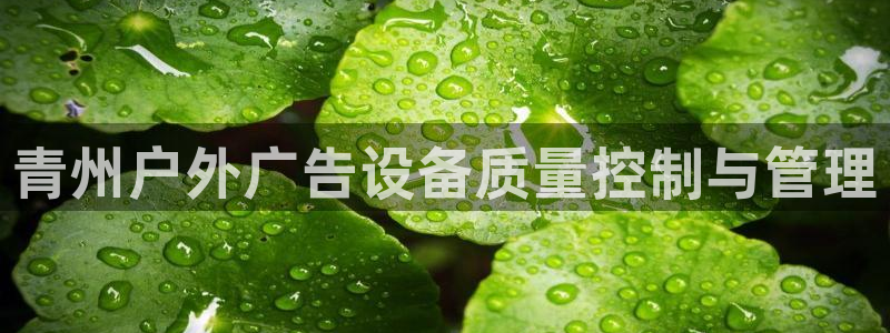 杏宇平台测速链接：青州户外广告设备质量控制与管理